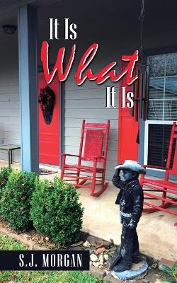 It Is What It Is by S J Morgan image