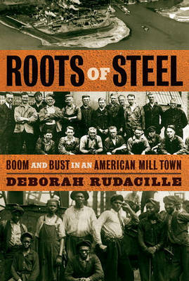 Roots of Steel on Hardback by Deborah Rudacille