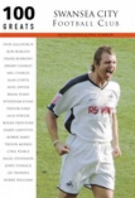 Swansea City Football Club by Keith Haynes image