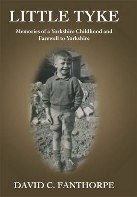 Little Tyke by David C. Fanthorpe image