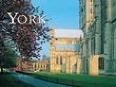 York Groundcover by Neil Jinkerson image