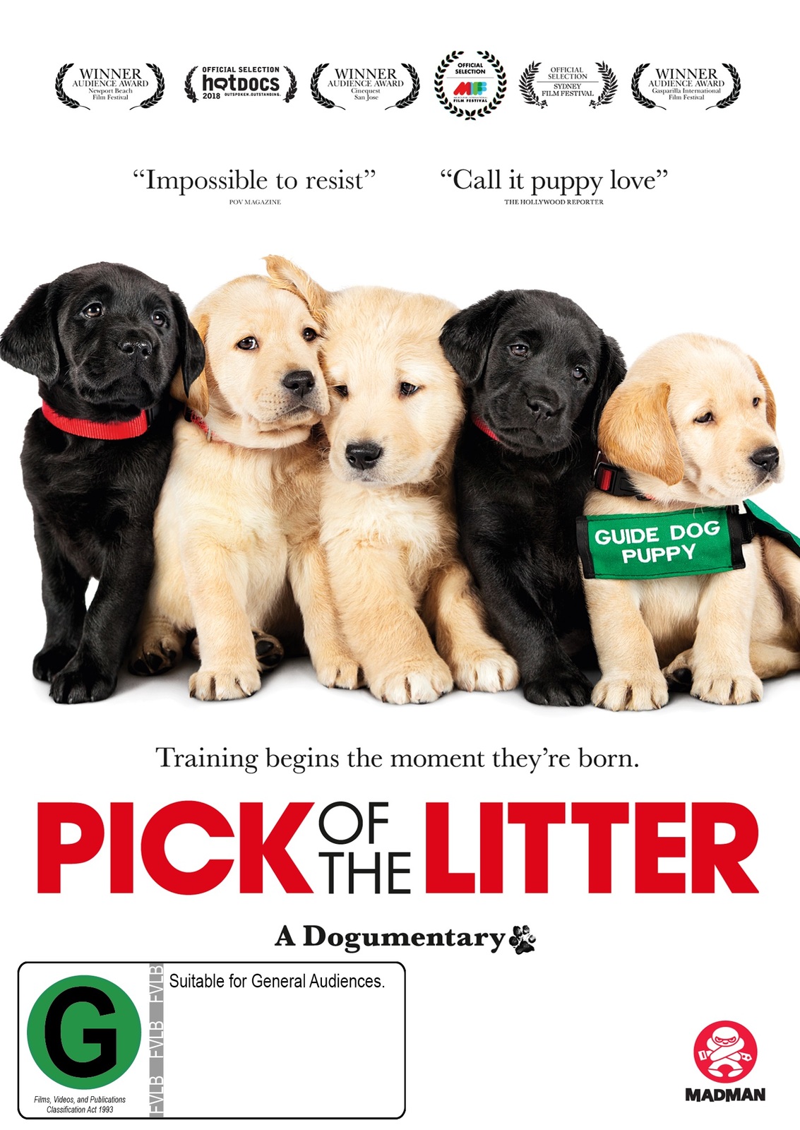 Pick Of The Litter on DVD image