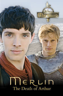 Merlin on Hardback