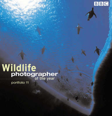 Wildlife Photographer Of The Year Portfolio 11 by Chris Packham image