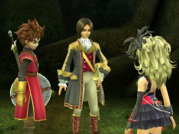 Dragon Quest: Swords for Wii