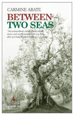 Between Two Seas by Carmine Abate image