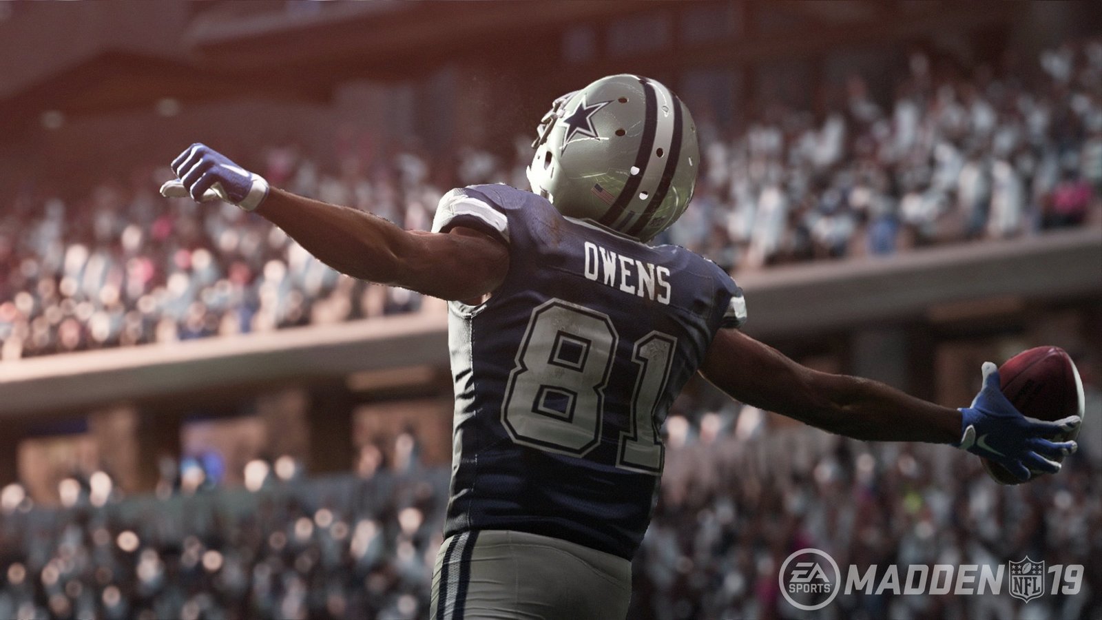 Madden NFL 19 image