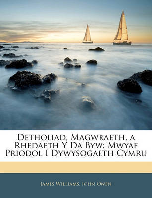 Detholiad, Magwraeth, a Rhedaeth y Da Byw: Mwyaf Priodol I Dywysogaeth Cymru by James Williams image