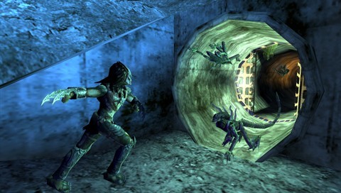 Aliens vs Predator: Requiem for PSP image