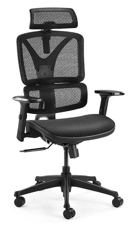 Ergolux: EX10 Ergonomic Mesh Office Chair