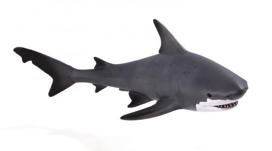Animal Planet - Bull Shark image