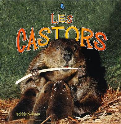 Les Castors on Paperback by Bobbie Kalman