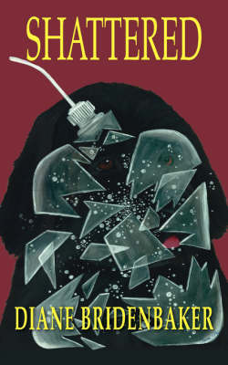 Shattered by Diane Bridenbaker image