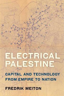 Electrical Palestine by Fredrik Meiton image
