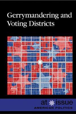 Gerrymandering and Voting Districts image
