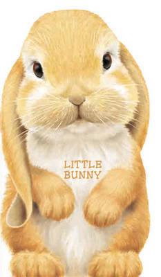 Little Bunny image
