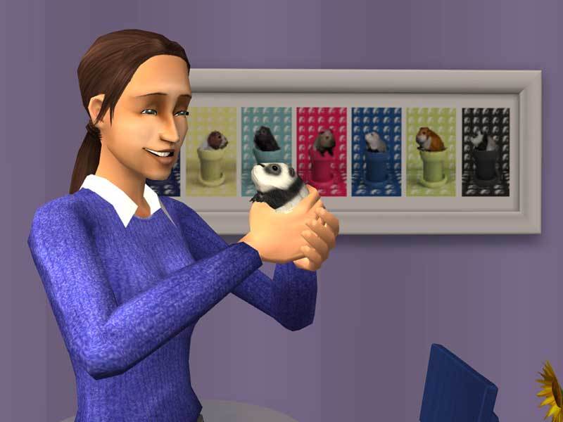 The Sims 2: Pets Expansion Pack DVD on PC