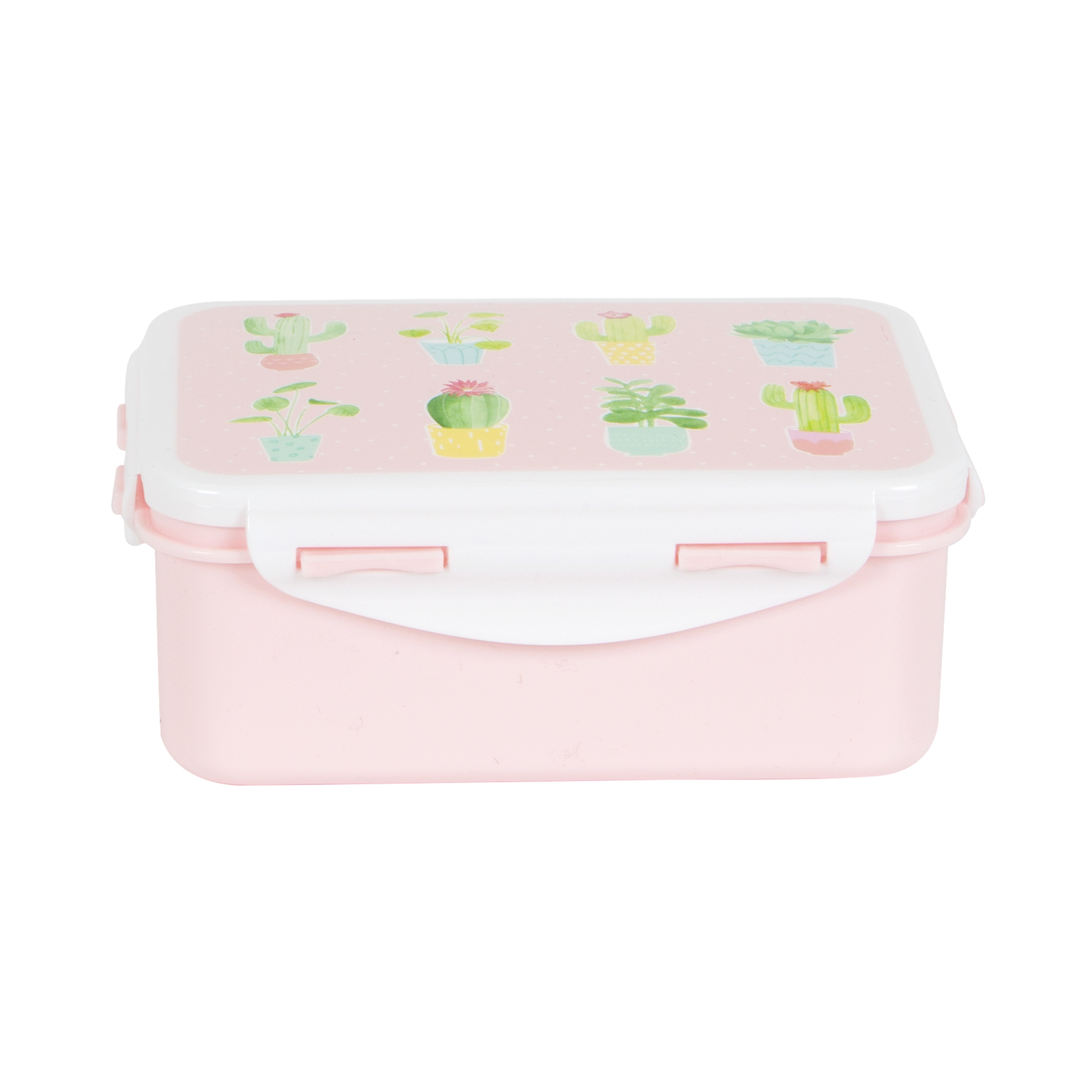 Pastel Cactus Lunch Box at Mighty Ape NZ