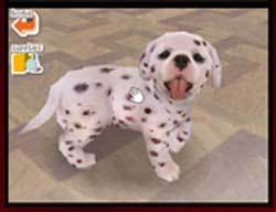 Nintendogs - Dalmatian & Friends for DS image