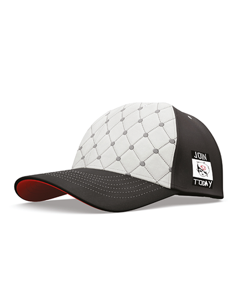 Borderlands 3: Tyreen Snapback image