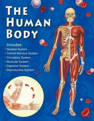 The Human Body image