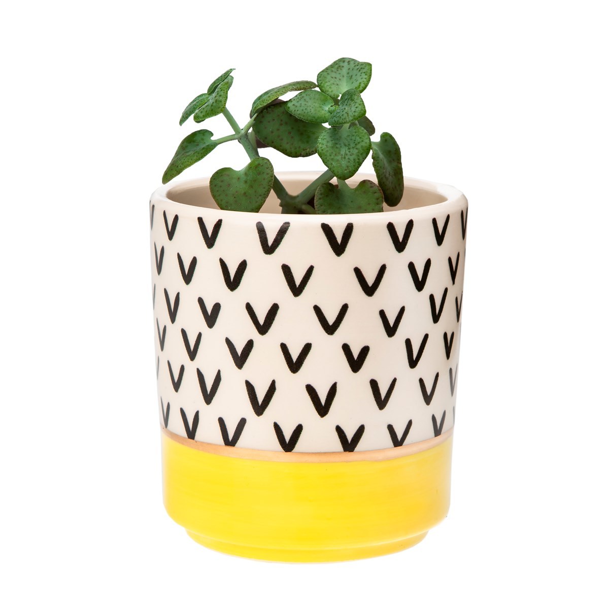 Memphis Modern Mini Pastel Planters (Set of 3)