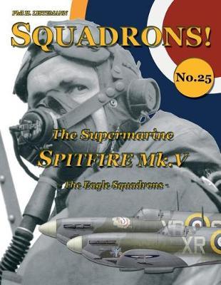 The Supermarine Spitfire Mk. V by Phil H Listemann image