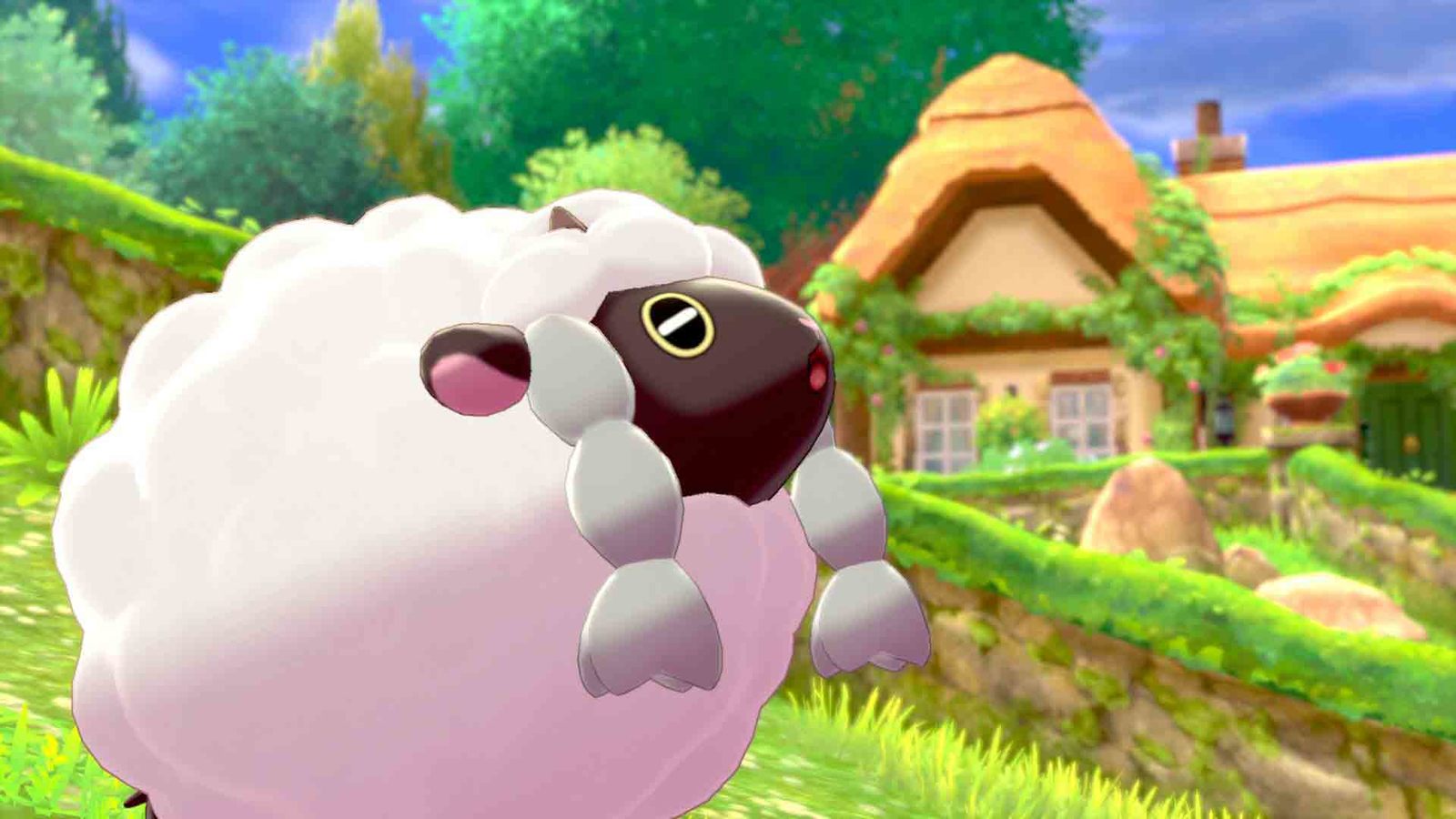 Pokemon Sword on Switch