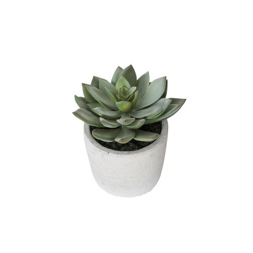 General Eclectic Artificial Plant - Small Echeveria image