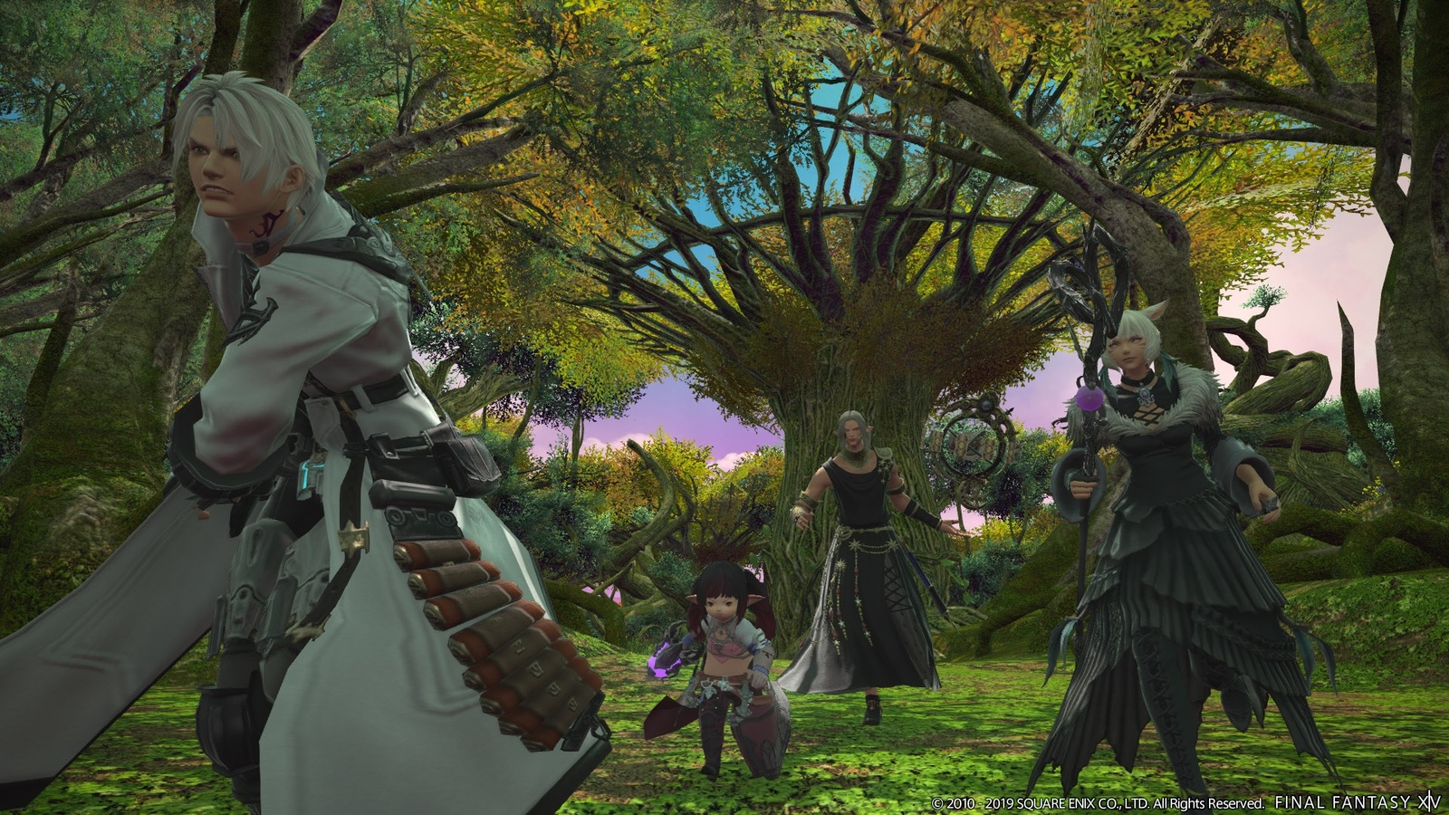 Final Fantasy XIV: Complete Edition for PS4 image