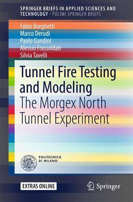 Tunnel Fire Testing and Modeling by Fabio Borghetti image