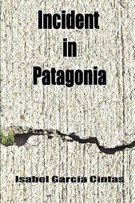 Incident in Patagonia image