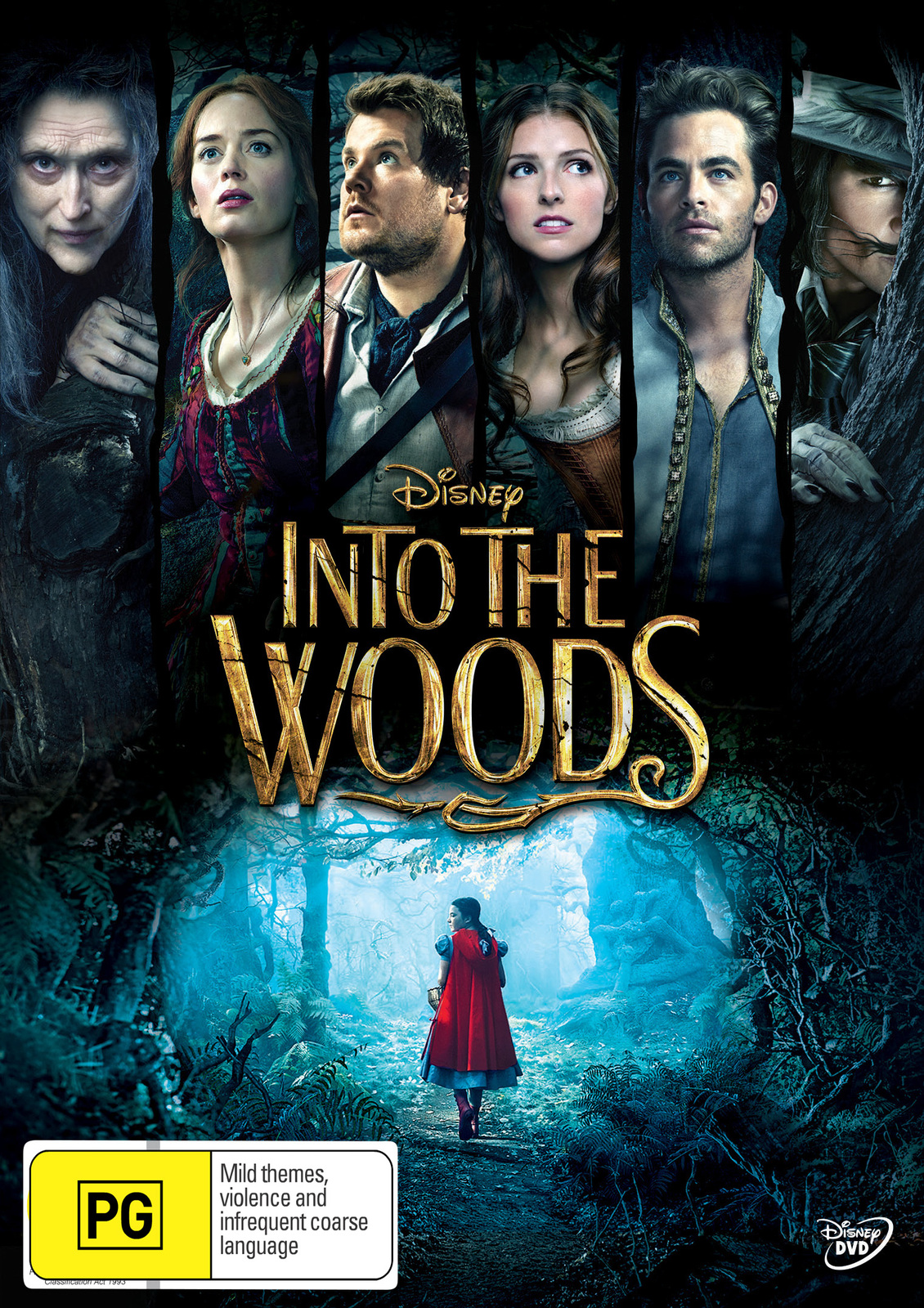 Into The Woods on DVD image