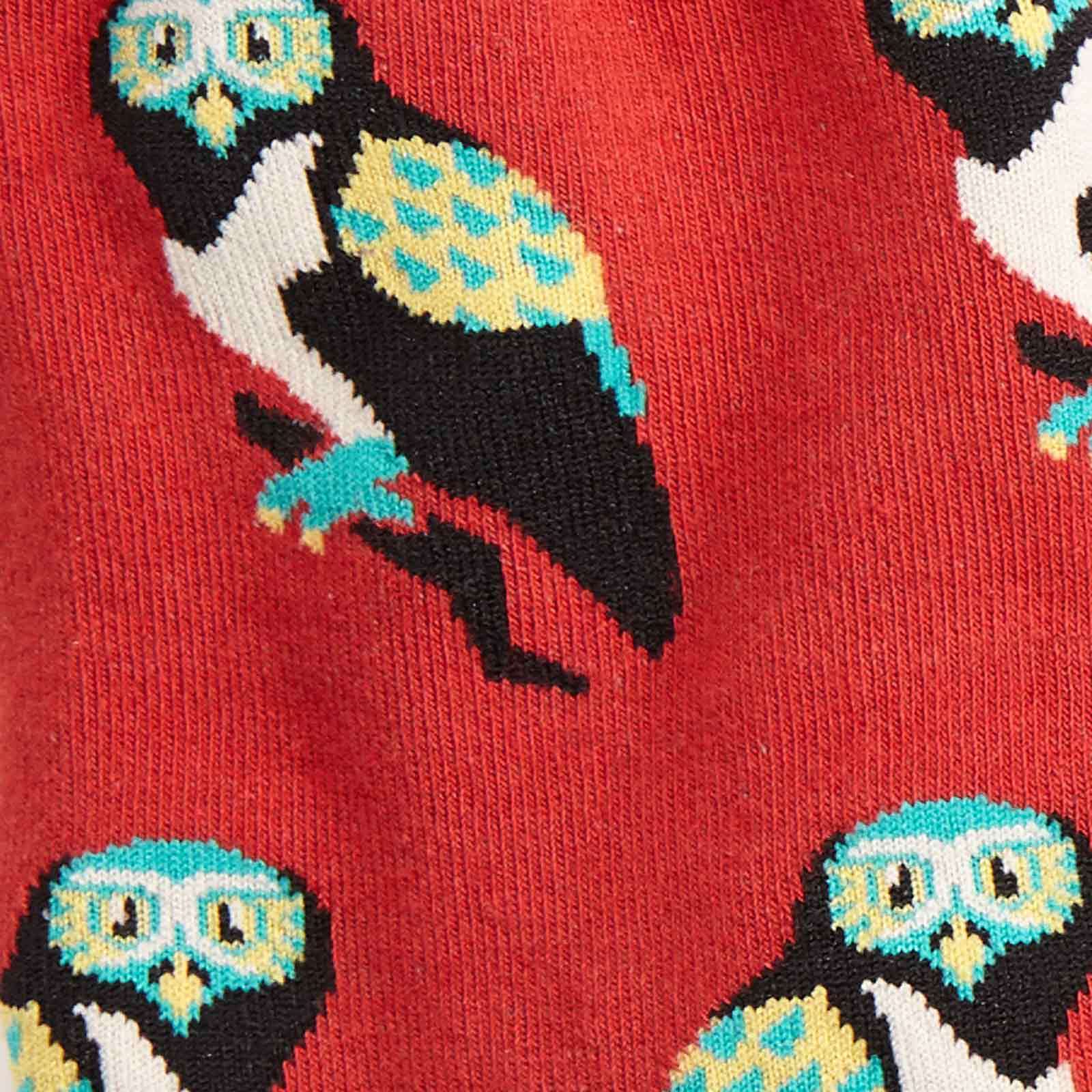 Women's - Birds Of Prey Knee High Socks image