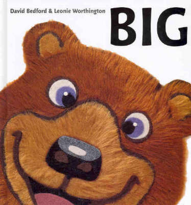 Big on Hardback by David Bedford