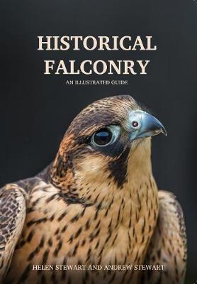Historical Falconry by Andrew Stewart image