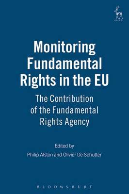 Monitoring Fundamental Rights in the EU image