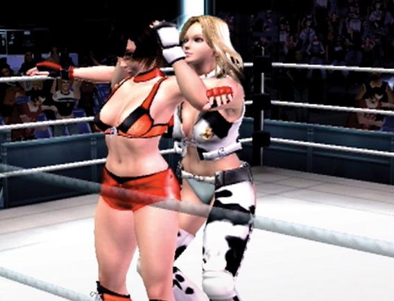 Rumble Roses for PlayStation 2 image