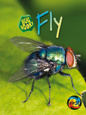 Fly by Karen Hartley image