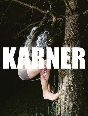 Karl Karner image