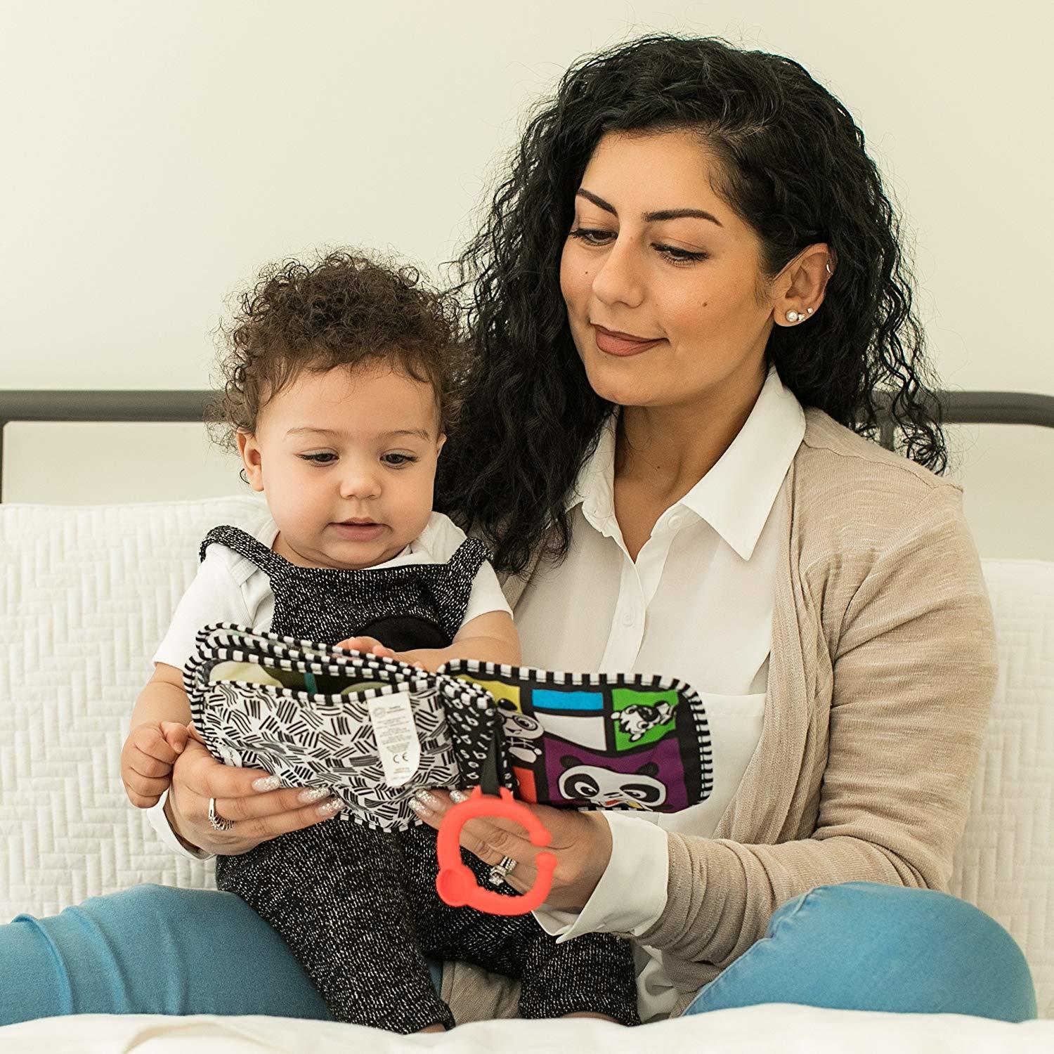 Baby Einstein: Flip & Discover Book - High Contrast image