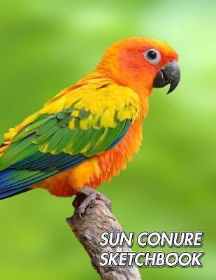 Sun Conure Sketchbook by Notebooks Journals Xlpress image