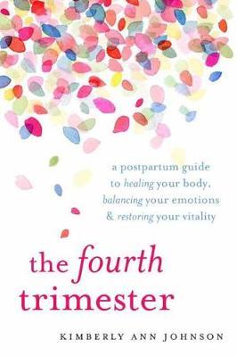 The Fourth Trimester by Kimberly Ann Johnson image