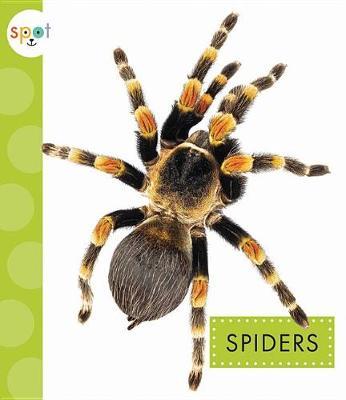 Spiders by Nessa Black image