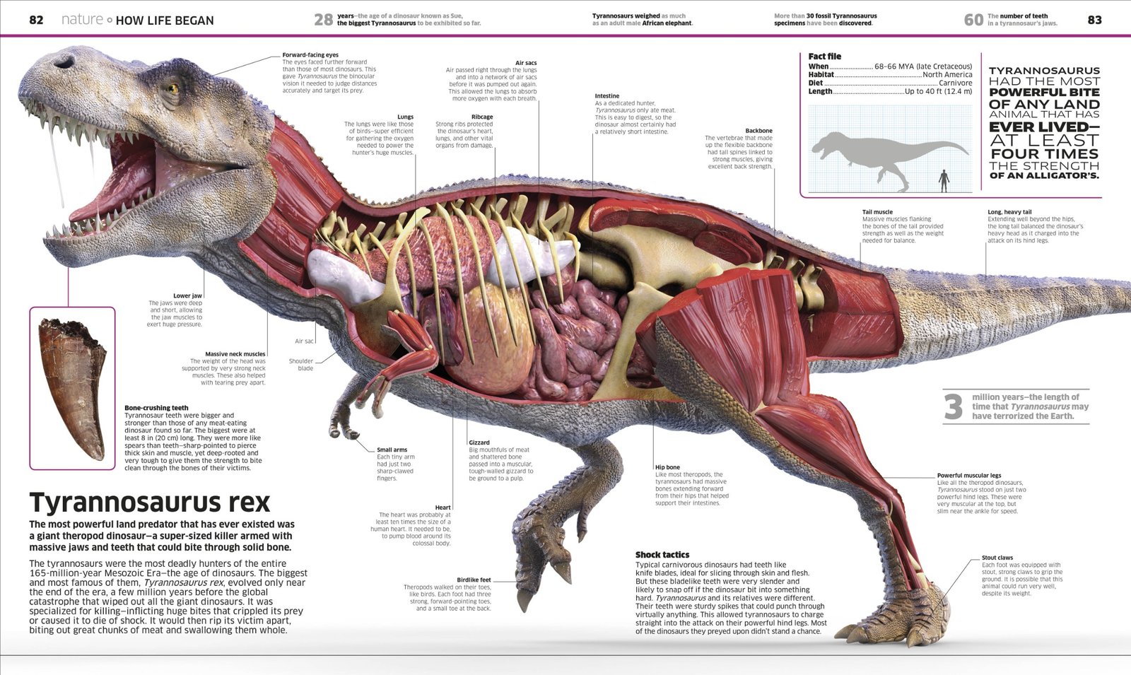 Knowledge Encyclopedia image