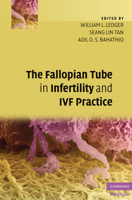 The Fallopian Tube in Infertility and IVF Practice on Hardback