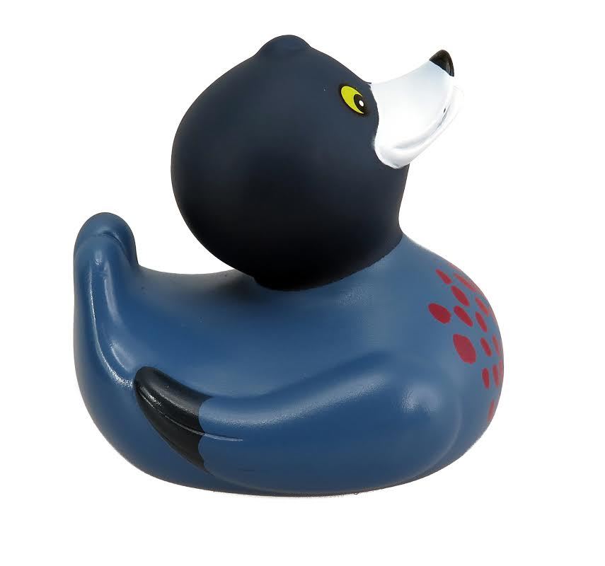 Bath Duck - NZ Blue Whio