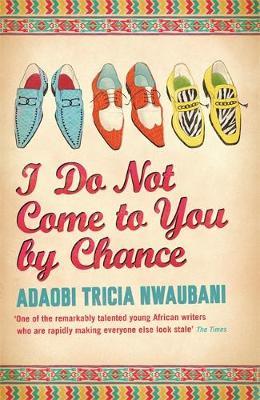 I Do Not Come to You by Chance by Adaobi Tricia Nwaubani image