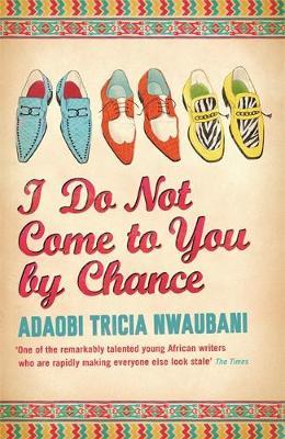 I Do Not Come to You by Chance by Adaobi Tricia Nwaubani