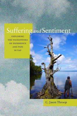 Suffering and Sentiment image